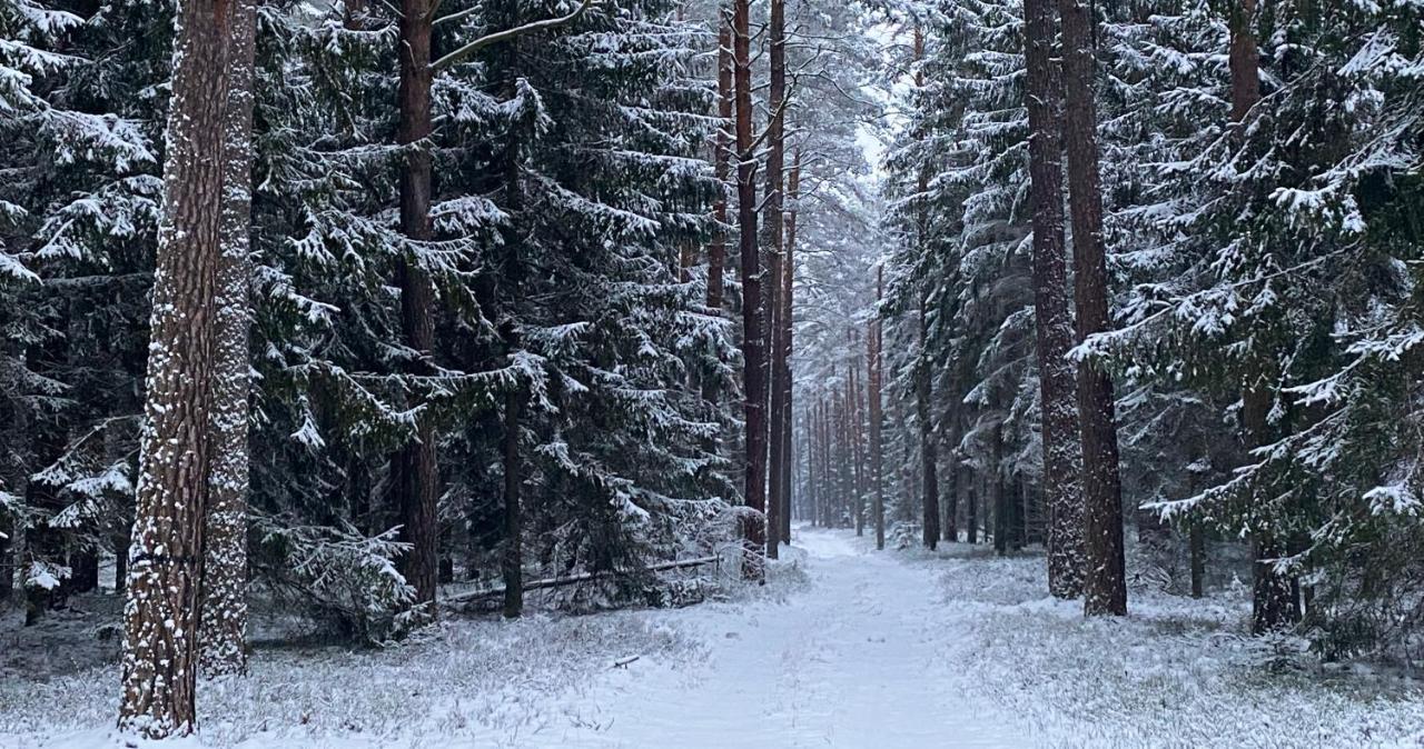 Szeroki Bor Oaza W Puszczy Z Sauna, Bania I Jacuzzi Kültér fotó