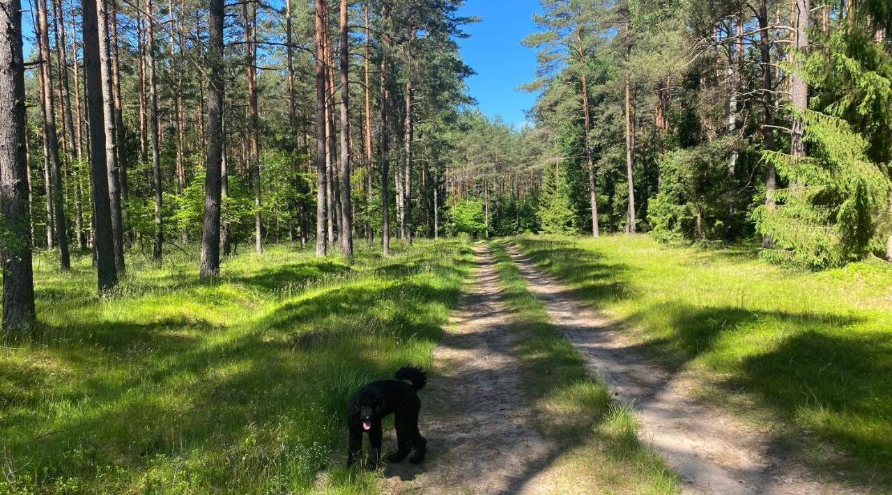 Szeroki Bor Oaza W Puszczy Z Sauna, Bania I Jacuzzi Kültér fotó