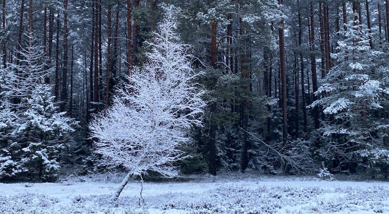 Szeroki Bor Oaza W Puszczy Z Sauna, Bania I Jacuzzi Kültér fotó